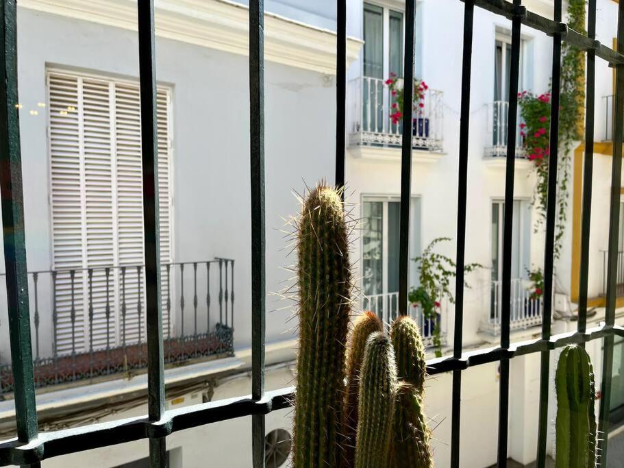 סביליה Apartamento Suite Alameda De Hercules מראה חיצוני תמונה